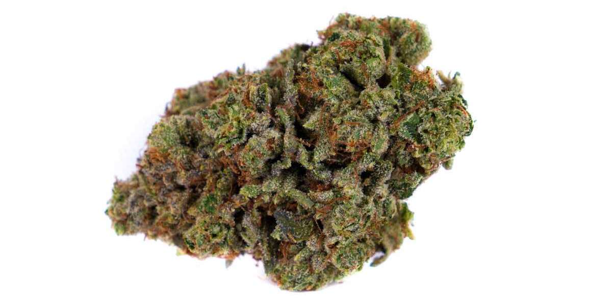 An Overview of the Ice Cream Cake Cannabis Strain