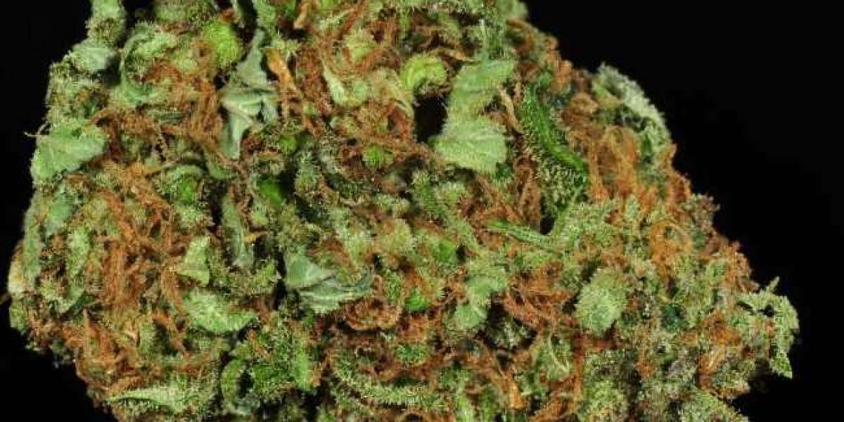 Everything You Need To Know About the Durban Poison Cannabis Strain