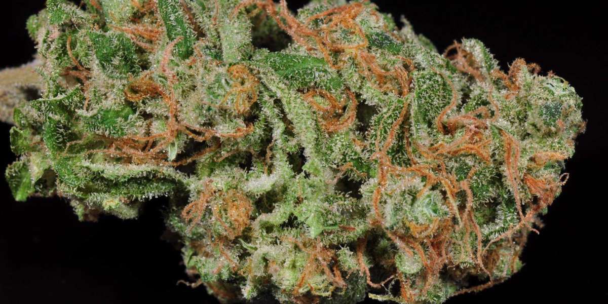 Exploring the Pineapple Express Cannabis Strain