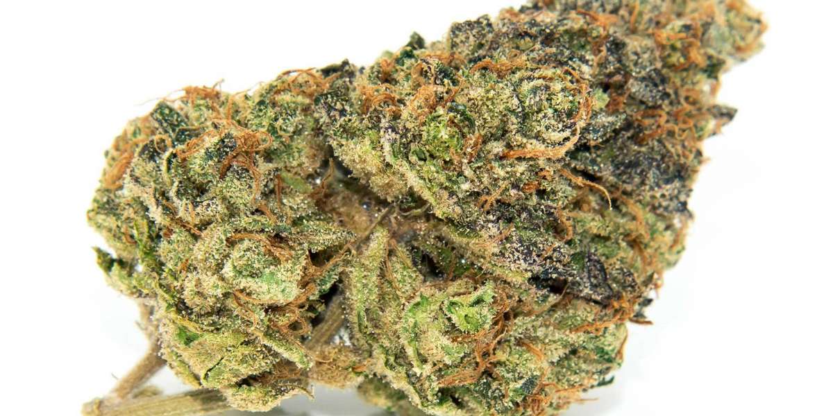 Everything You Need to Know About the Gelato Cannabis Strain
