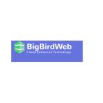 Bigbird web