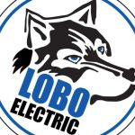 Lobo ConsultingInc