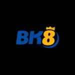 Bk8 academy