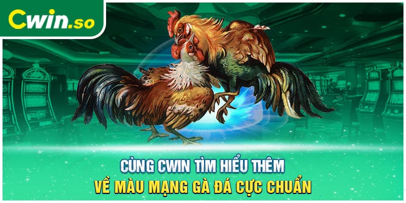 Cùng CWIN Tìm Hiểu Thêm Về Màu Mạng Gà Đá Cực Chuẩn