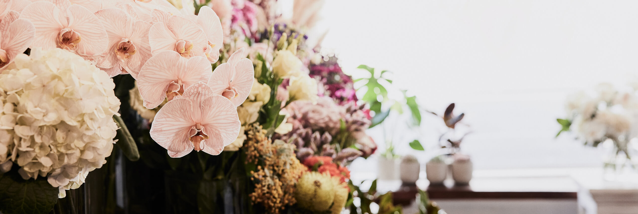 Same Day Flower Delivery West Footscray I The Flower Shed