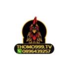 THOMO999 TV Trực Tiếp Đá Gà Thomo SV388