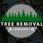 Tree Removal Service NJ