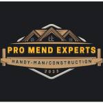 Pro Mend Expert