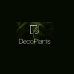 Deco Plants