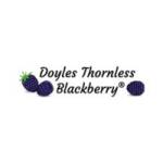 Doyles BlackberryInc