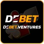 debet ventures